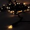 Perfect Holiday 70 LED Indoor/Outdoor Wide Angle 5MM LED Green Cable Christmas String Lights